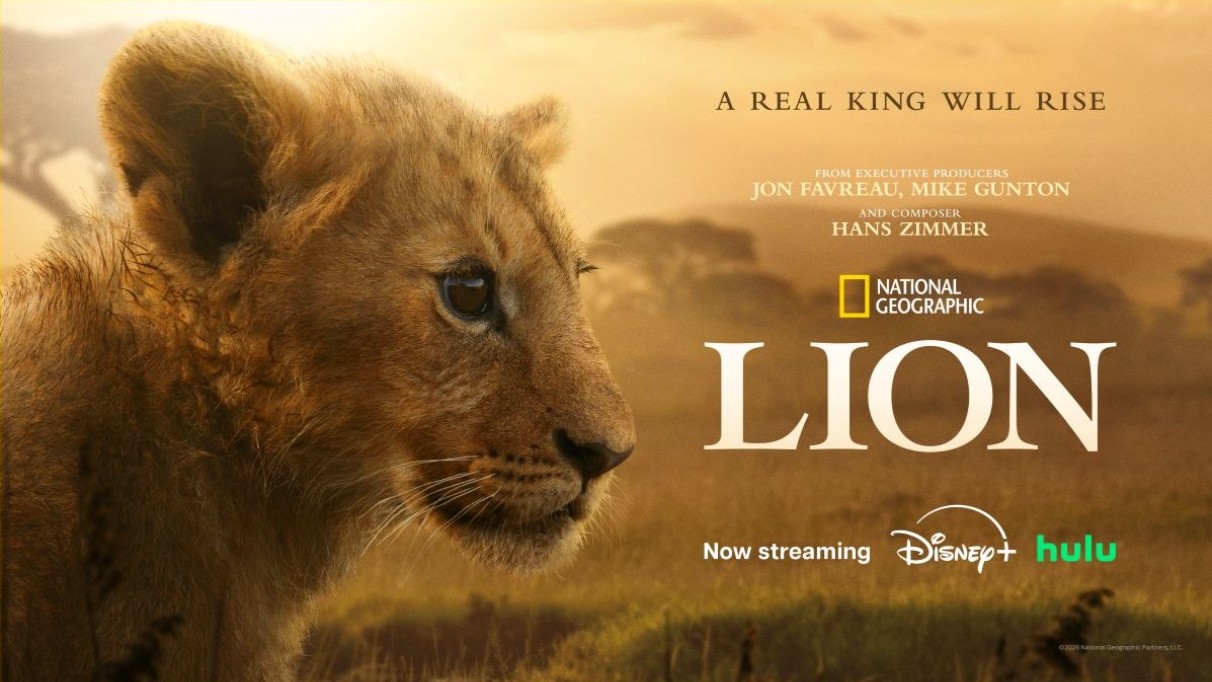 مسلسل Lion مترجم